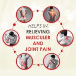 Shreejee Ghas Ka Tel 1